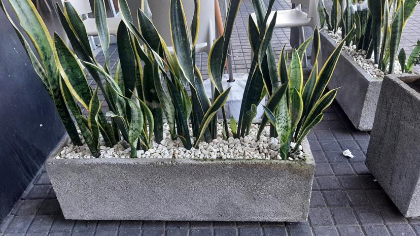 JARDINERA DE 1 M LARGO X 0.30M ANCHO X 0.30 M ALTO
