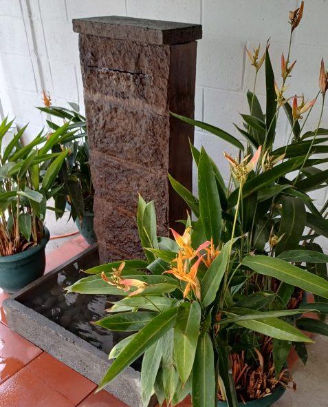 FUENTE CON MURO LLORON DE 1 M DE ALTURA