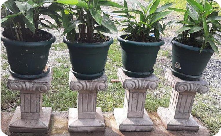 COLUMNAS ESTILO ROMANO DE 0.40 M ALTURA , SUPERFICIE DE 0.25 X 0.25 M