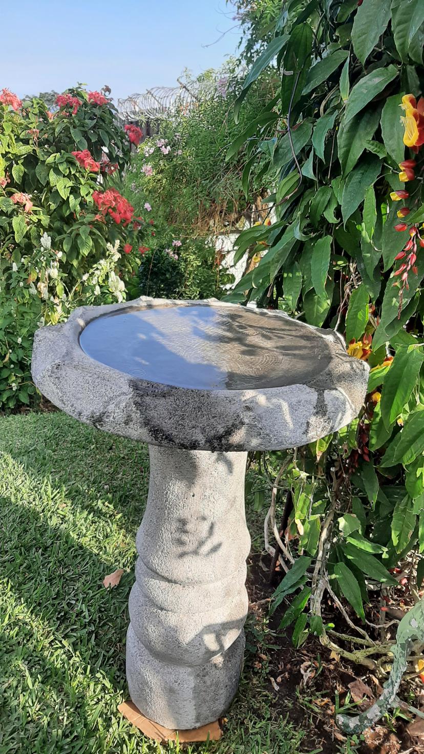 JUEGO DE BEBEDERO PARA PAJARITOS, DIÁMETRO DE 55 CM CON COLUMNA RECTA , ROMANA O TORNEADA