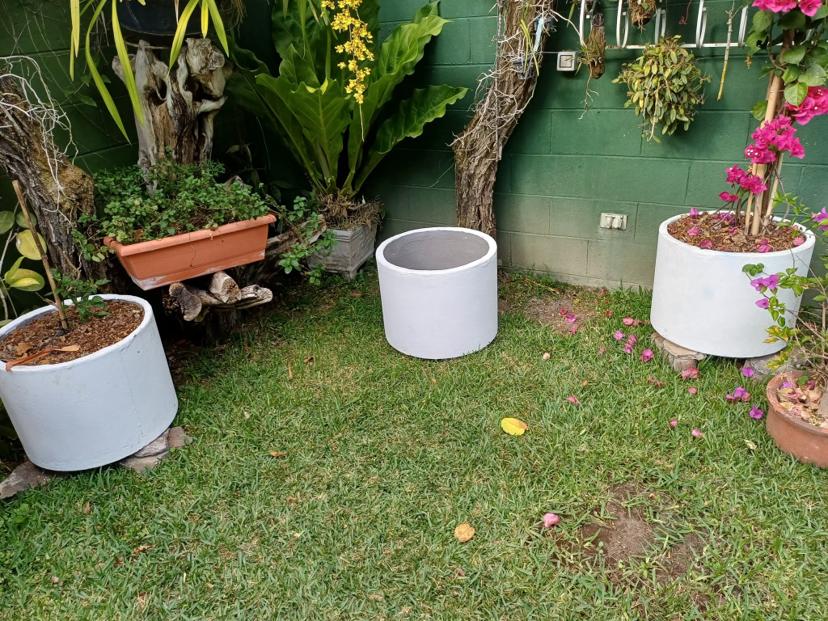 MACETAS CILINDRICAS DE CEMENTO DE 50 CM DE DIÁMETRO X 50 CM ALTURA